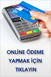 Online Ödeme